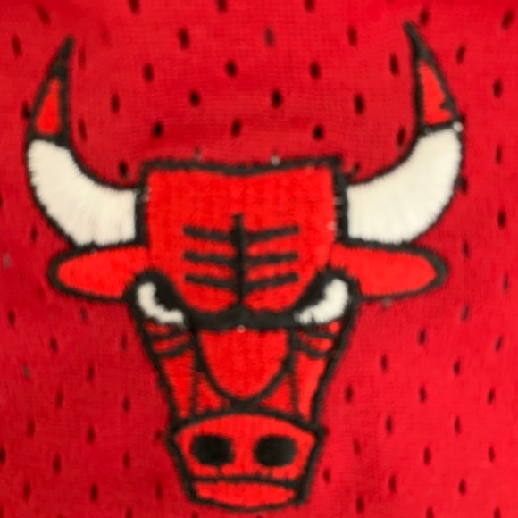 AUTHENTIC Chicago Bulls Scottie Pippen Nike Jersey - Picture 8 of 8